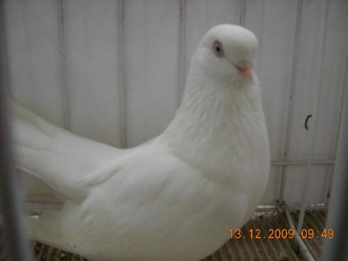 DSCN0206