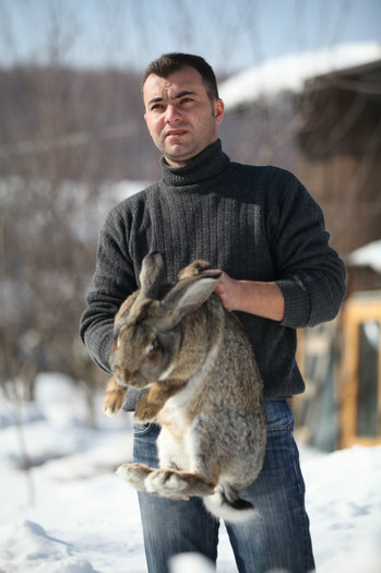 IMG_7440 - iepurii mei