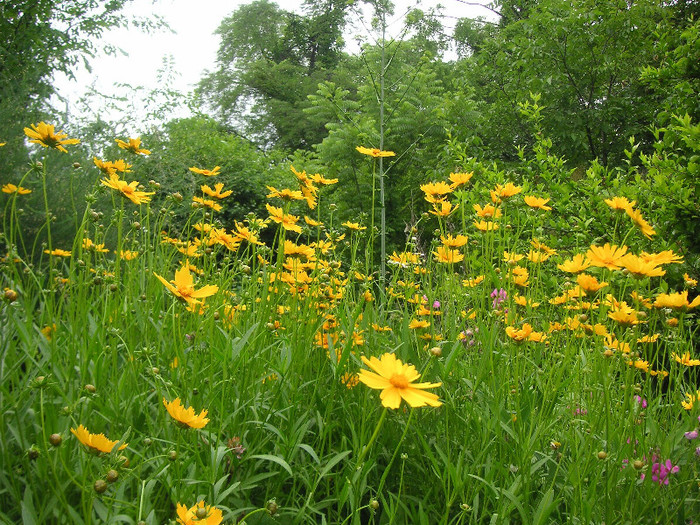 2760551570075666569cUUmBQ_fs