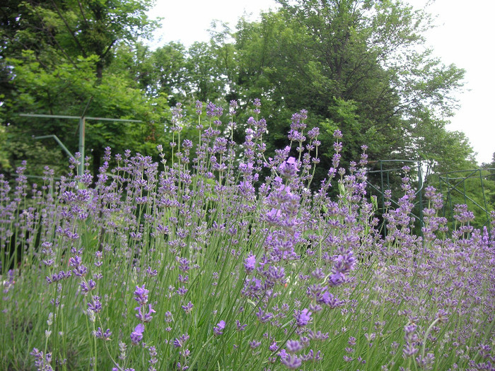 2844937330075666569gCmiKb_fs