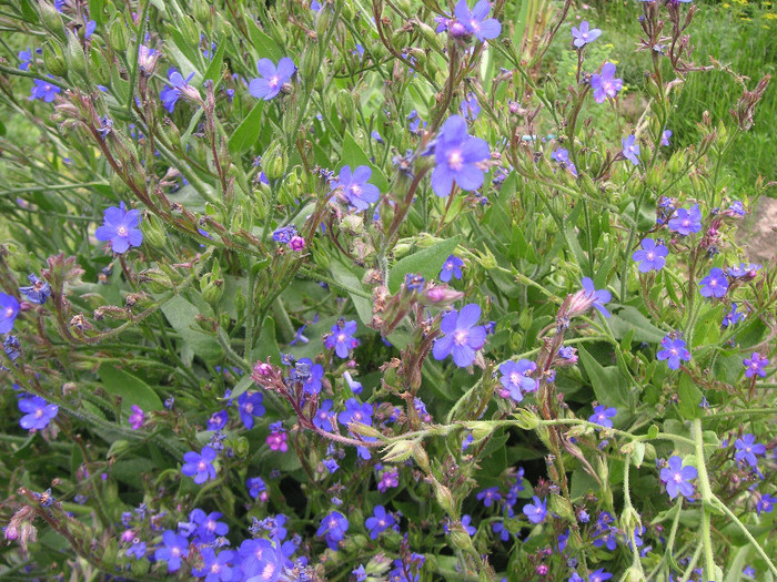 2944642670075666569LNwLtc_fs