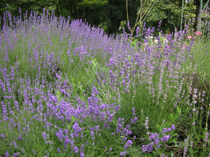 2083460630075666569rcNjkr_fs