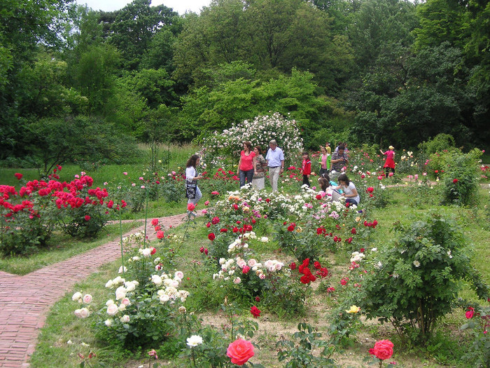 2088813170075666569cygoNk_fs