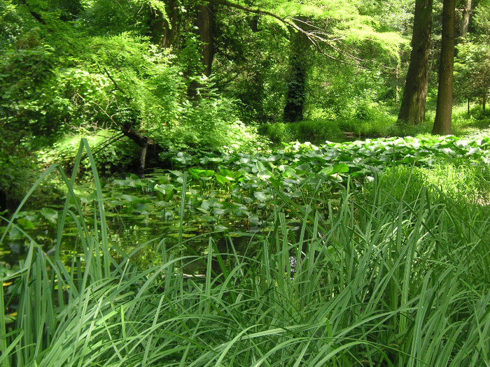 2115789360075666569QgBoPv_fs