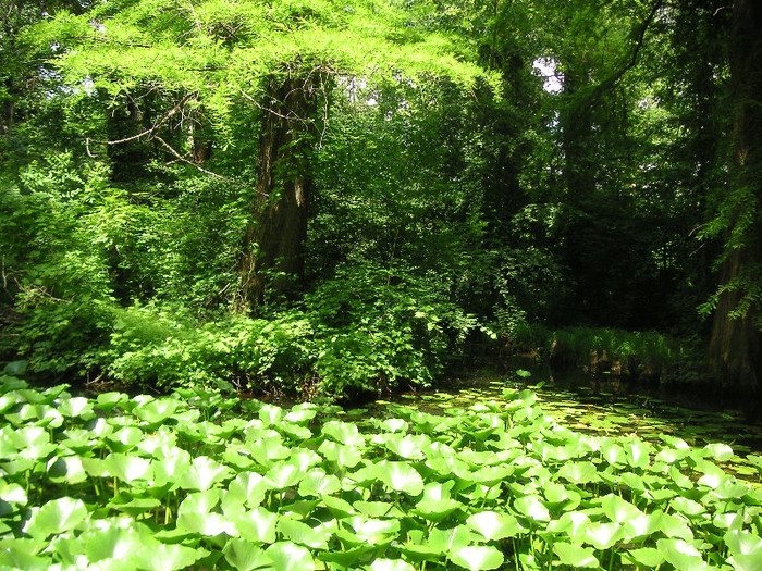 2242953810075666569LmkkQy_fs