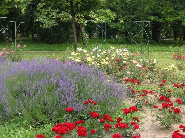 2298684480075666569ADCGpD_fs