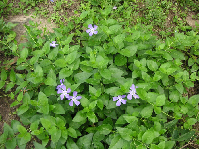 2415326620075666569XcjiNV_fs