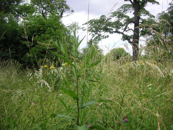 2503116730075666569RQGjiq_fs