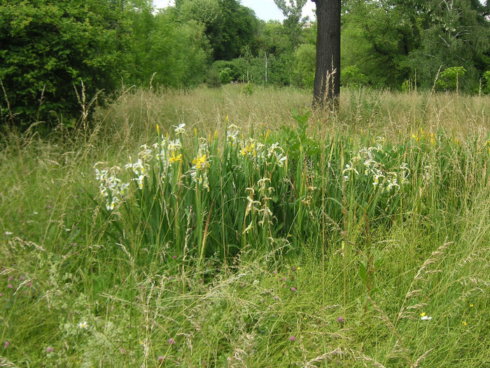 2605238110075666569WVgsOw_fs