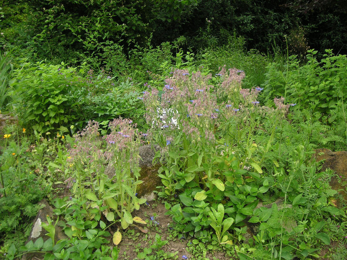 2744375790075666569tpKfOe_fs