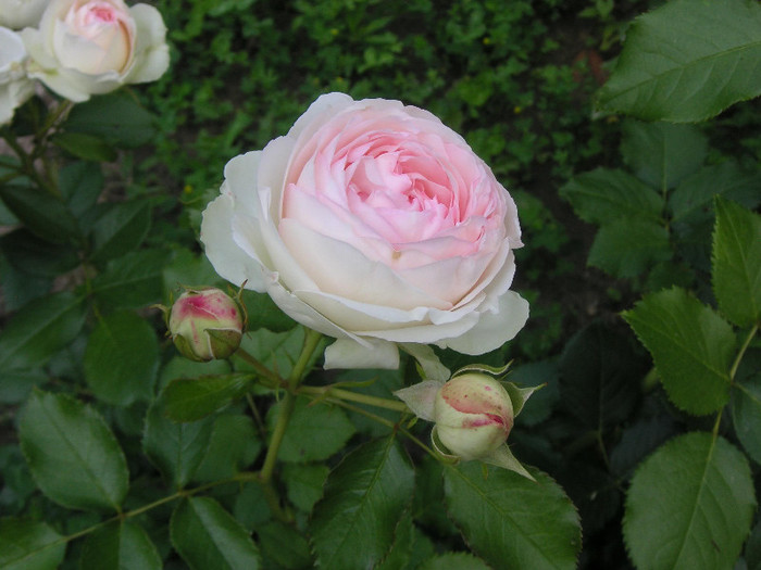 2872793470075666569DnqKAH_fs