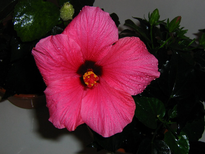 2211627700075666569kEgFEN_fs