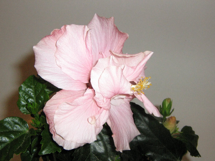 2319849350075666569NZsqUW_fs