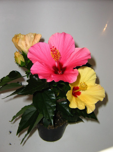 2356981420075666569qLWfsx_fs