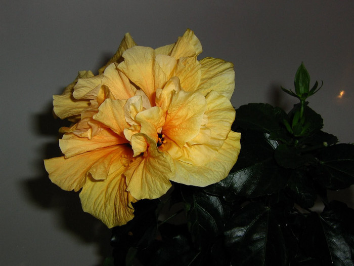 2361278490075666569HgpfRU_fs