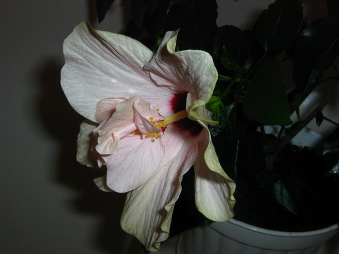 2363667250075666569jPrqLT_fs