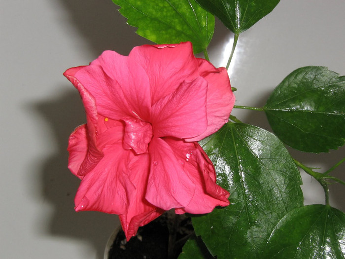 2400180000075666569LLjEQx_fs