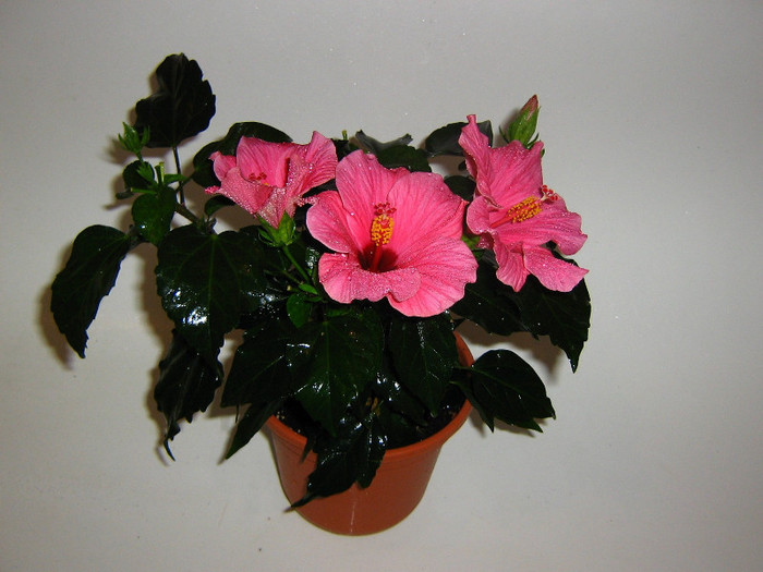 2414351800075666569LREZyF_fs