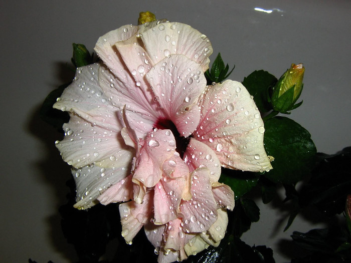 2984308140075666569aJEEnA_fs