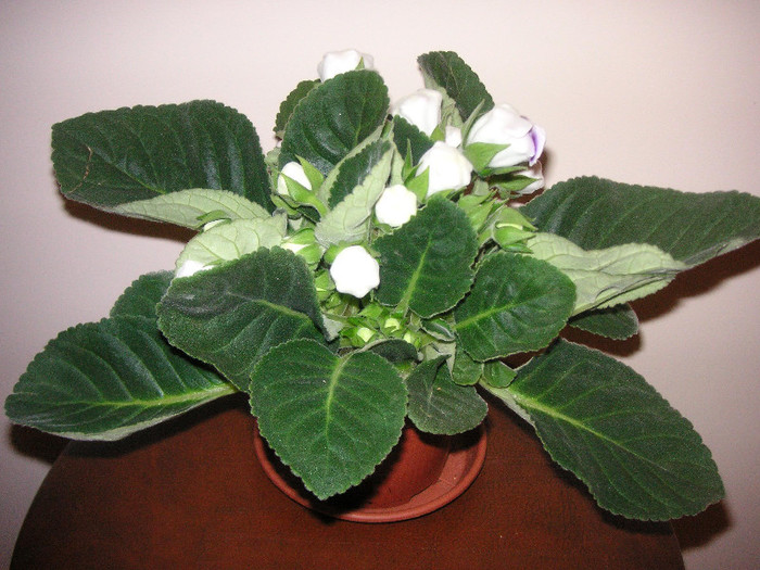 2276176840075666569sLjHzQ_fs