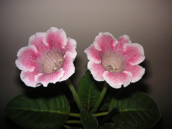 2501653650075666569OWaKYy_fs