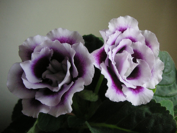 2642664920075666569KfbDce_fs