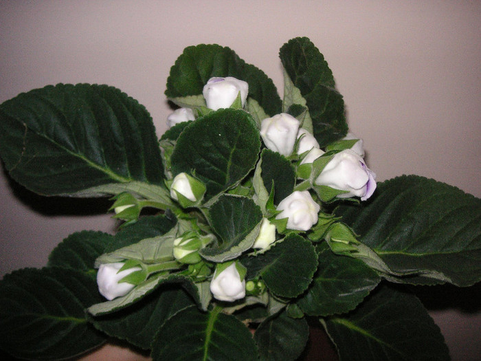 2752392080075666569VzPVeY_fs