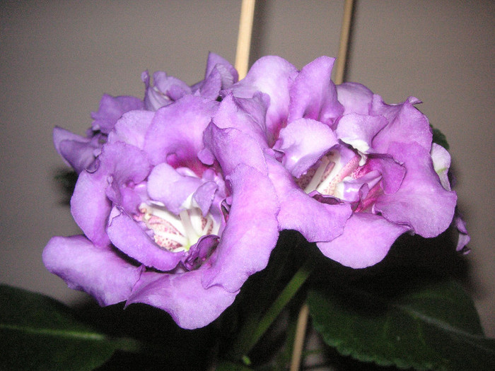 2856054180075666569soODTM_fs