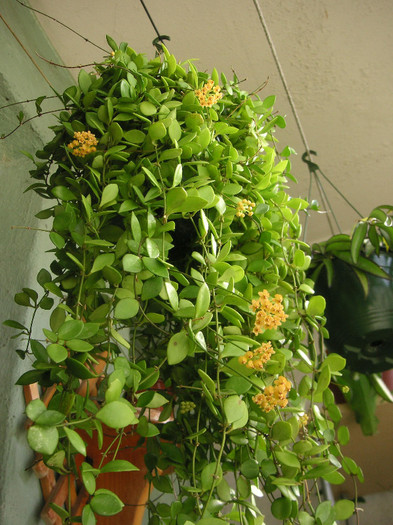 2019821770075666569DxxipW_fs