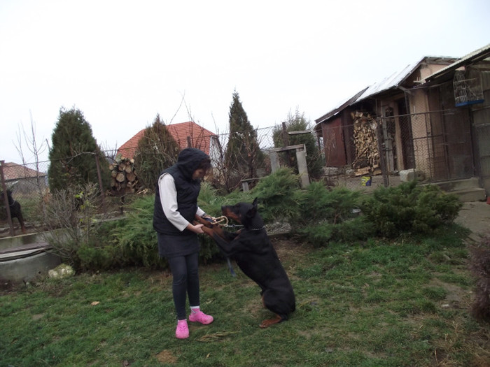 poze  TOAMNA 2012 412