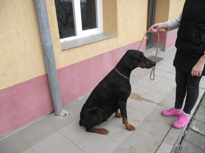 poze  TOAMNA 2012 437