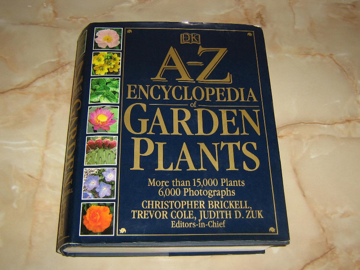 2210364420075666569jLmclE_fs