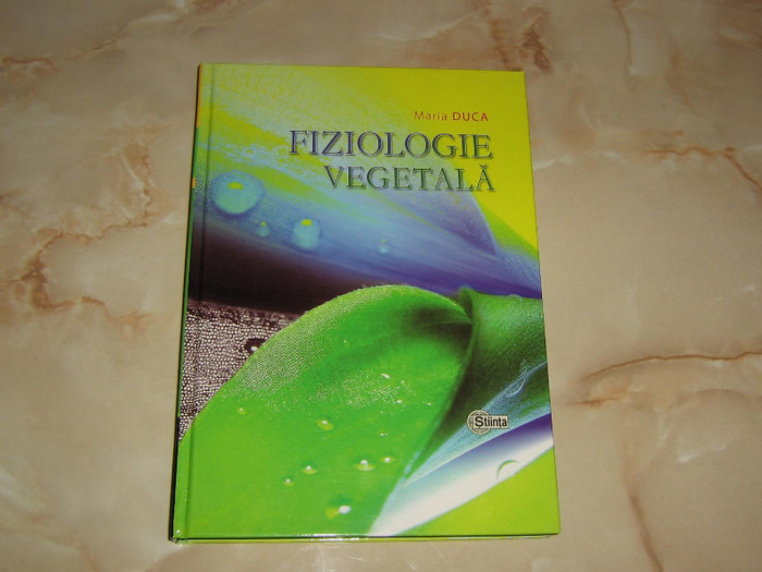 2288932800075666569oVBUQm_fs