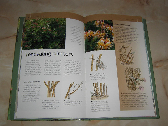 2293594630075666569NxKGOz_fs