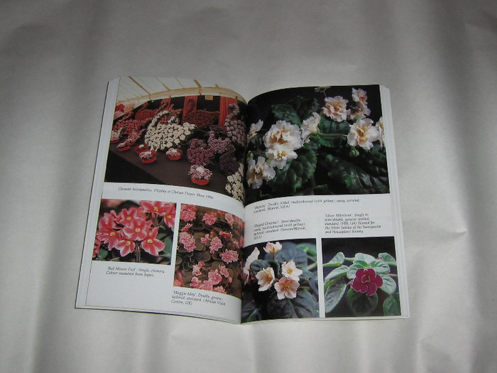 2318022940075666569mMJdYX_fs