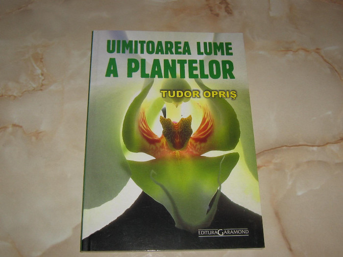 2450761740075666569hpuBQZ_fs