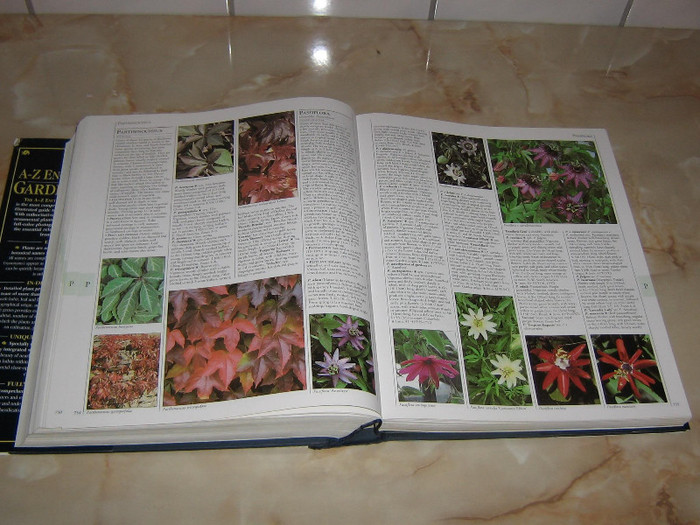 2451348870075666569loZMpA_fs