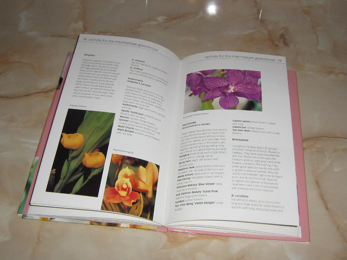 2809054590075666569ldEtXN_fs