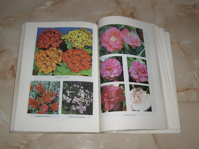 2816342910075666569khbYKG_fs