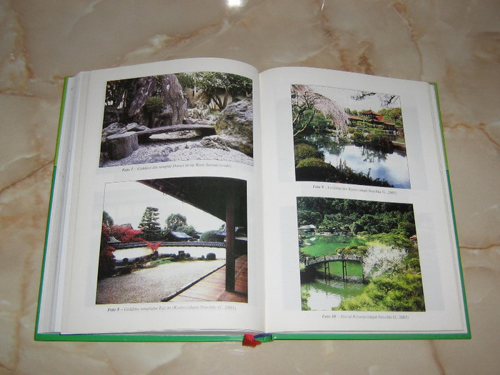 2904690520075666569gpADhf_fs