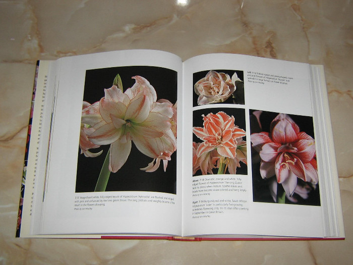 2913063340075666569cIVCZS_fs