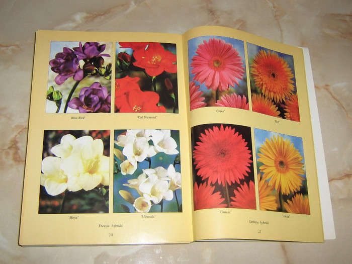 2979655720075666569TvWovs_fs