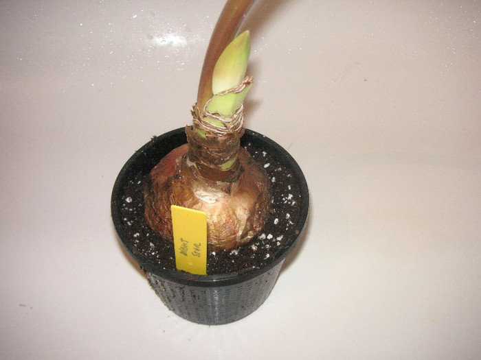 2029297780075666569HBsjCD_fs