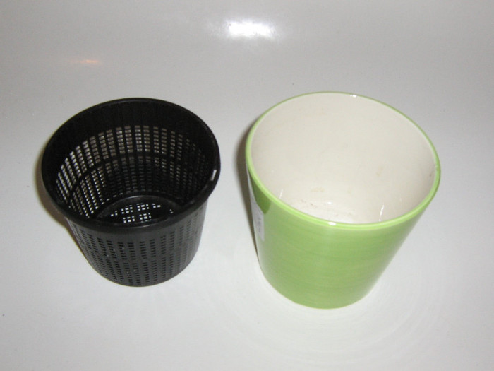 2129397360075666569XUhIUi_fs - Hippeastrum