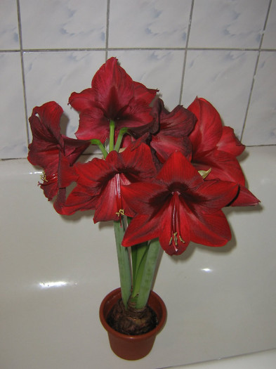 2289449280075666569bJtabf_fs