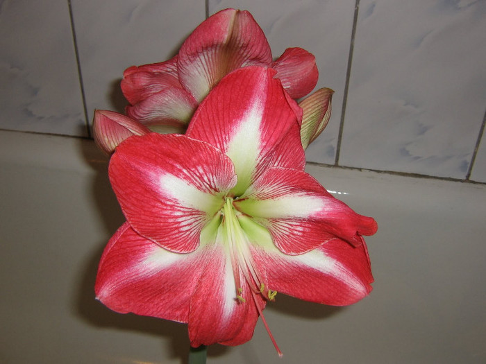 2292119030075666569Jvwbds_fs