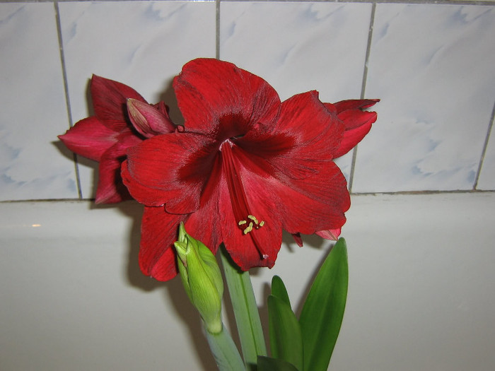 2307195500075666569YXHgZz_fs