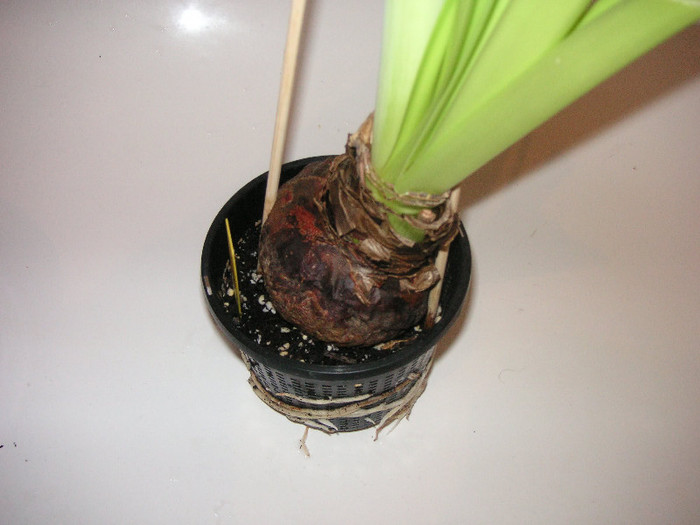 2313665100075666569jpIpnv_fs