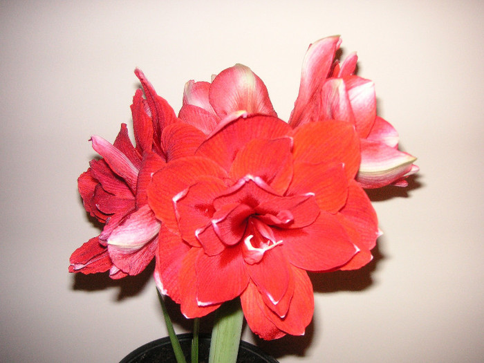 2318912510075666569oHXHSK_fs