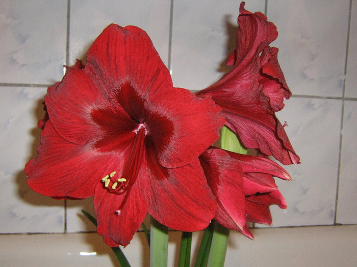 2320340270075666569qtsXSn_fs